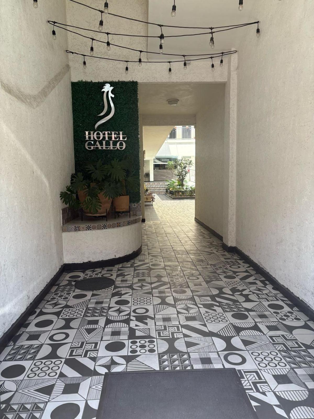 Hotel Gallo Guadalajara Exterior foto